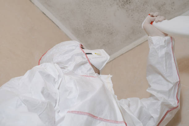 Best HVAC Mold Remediation in Highspire, PA